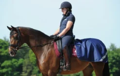 Bucas Quarter Sheet Exercise Rug