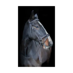 Cameo Equine Anatomic Comfort Bridle With Sure Grip Reins
