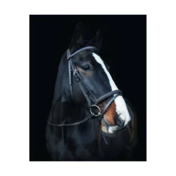 Cameo Equine Anatomic Comfort Bridle With Sure Grip Reins -Sports - Equestrian Sports cameo equine anatomic comfort bridle with sure grip reins colour black size full 4 108604 p