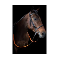 Cameo Equine Exercise Bridle With Orange Grip Reins