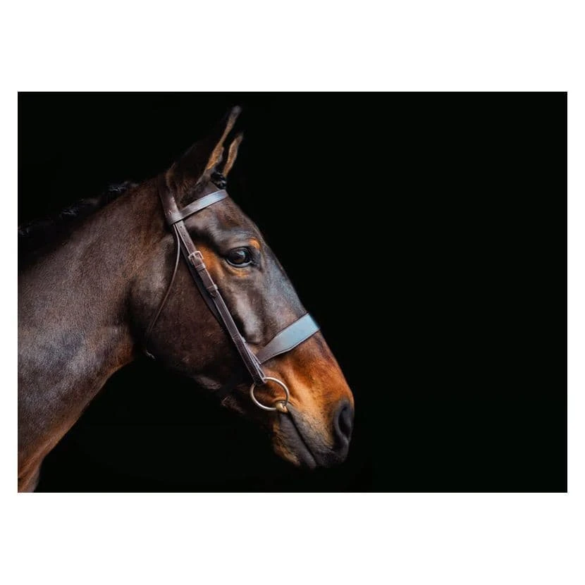 Cameo Equine Hunt Bridle 2 Browbands 4 Cameo Equine Hunt Bridle 2 Browbands - Image 4