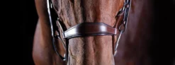 Collegiate Comfitec Crystal Bridle -Sports - Equestrian Sports collegiate comfitec crystal bridle colour brown size warmblood 3 53704 p