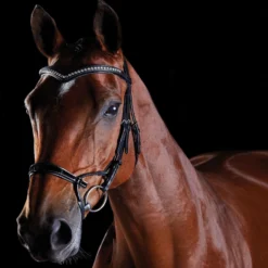 Collegiate Comfitec Patent Bridle