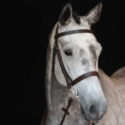 Collegiate Hunt Cavesson Bridle Iv