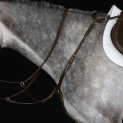 Collegiate Hunter Breast Plate Iv