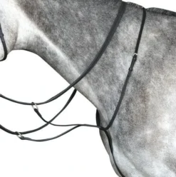 Collegiate Running Martingale Iv