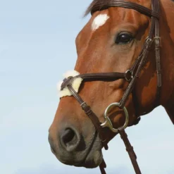 Collegiate Syntovia+ Padded Raised Figure 8 Bridle -Sports - Equestrian Sports collegiate syntovia padded raised figure 8 bridle colour brown size cob 3 54110 p