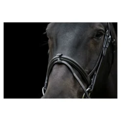 EcoRider Classic Comfort Bridle -Sports - Equestrian Sports ecorider classic comfort bridle colour black size full 3 108647 p