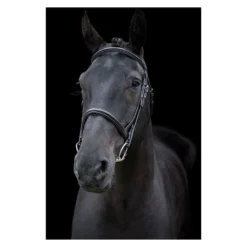 EcoRider Classic Comfort Bridle -Sports - Equestrian Sports ecorider classic comfort bridle colour black size full 4 108647 p