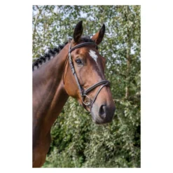 EcoRider Classic Comfort Bridle -Sports - Equestrian Sports ecorider classic comfort bridle colour black size full 5 108647 p