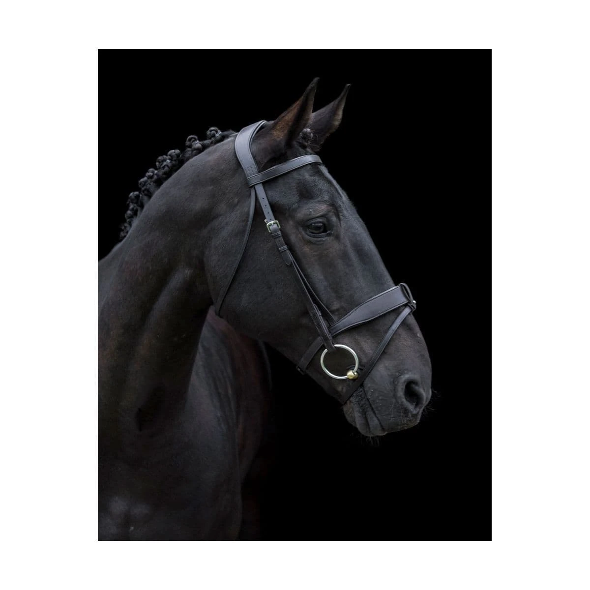 EcoRider Classic Show Comfort Bridle 2 EcoRider Classic Show Comfort Bridle - Image 2