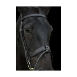 EcoRider Classic Show Comfort Bridle 8 EcoRider Classic Show Comfort Bridle -Sports - Equestrian Sports ecorider classic show comfort bridle colour black size full 4 108657 p