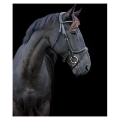 EcoRider Ecosoft Acclaim Bridle