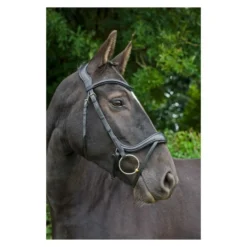EcoRider Ecosoft Enigma Bridle