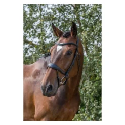 EcoRider Ecosoft Enigma Bridle -Sports - Equestrian Sports ecorider ecosoft enigma bridle colour black size full 5 108747 p