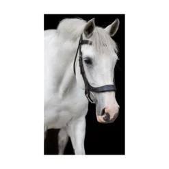 EcoRider Freedom Comfort Bridle -Sports - Equestrian Sports ecorider freedom comfort bridle colour black size full 3 108753 p