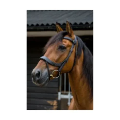 EcoRider Freedom Comfort Bridle -Sports - Equestrian Sports ecorider freedom comfort bridle colour black size full 5 108753 p