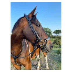 EcoRider Freedom Jump Bridle -Sports - Equestrian Sports ecorider freedom jump bridle colour black size full 3 108731 p