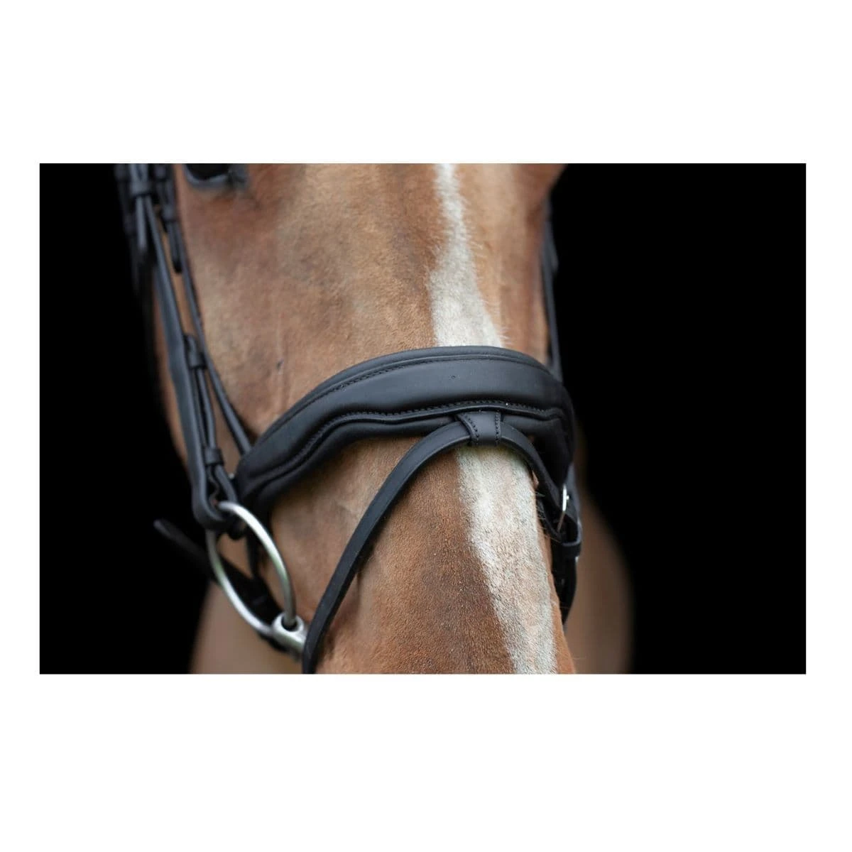 EcoRider Ultra Comfort Navan Bridle 2 EcoRider Ultra Comfort Navan Bridle - Image 2