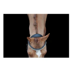 EcoRider Ultra Comfort Navan Bridle 8 EcoRider Ultra Comfort Navan Bridle -Sports - Equestrian Sports ecorider ultra comfort navan bridle colour black size full 4 108737 p