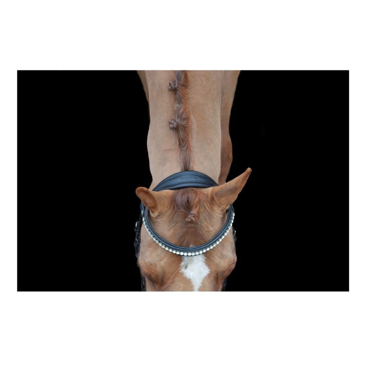 EcoRider Ultra Comfort Navan Bridle 4 EcoRider Ultra Comfort Navan Bridle - Image 4