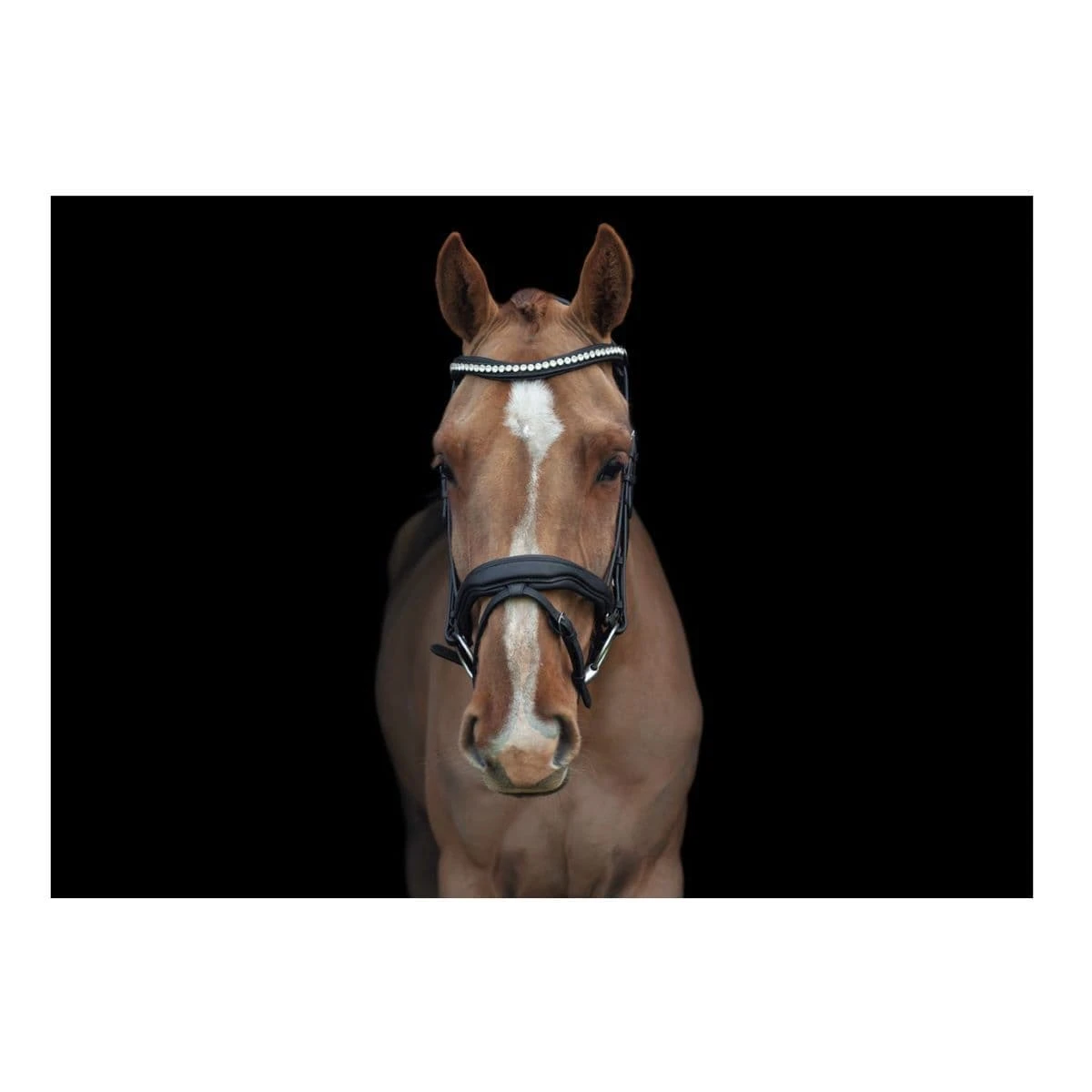 EcoRider Ultra Comfort Navan Bridle 5 EcoRider Ultra Comfort Navan Bridle - Image 5