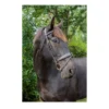 EcoRider Ultra Comfort Tullamore Show Bridle