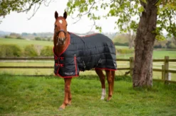 Gallop Trojan 200g Stable Rug