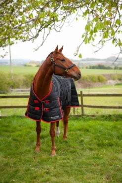 Gallop Trojan 200g Stable Rug -Sports - Equestrian Sports gallop trojan 200g stable rug size 5 6 3 94354 p