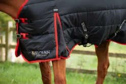 Gallop Trojan 200g Stable Rug -Sports - Equestrian Sports gallop trojan 200g stable rug size 5 6 4 94354 p