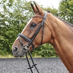 John Whitaker Barton Raised Flash Bridle (inc Rubber Reins)