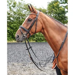 John Whitaker Barton Raised Flash Bridle (inc Rubber Reins) -Sports - Equestrian Sports john whitaker barton raised flash bridle inc rubber reins colour black size cob 4 42462 p