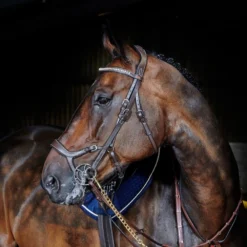 John Whitaker Chicago Anatomic Breathable Bridle With Reins