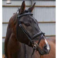 John Whitaker Eastwood Raised Flash Bridle With Reins