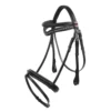 John Whitaker Lynton Flash Bridle With 2 Browbands