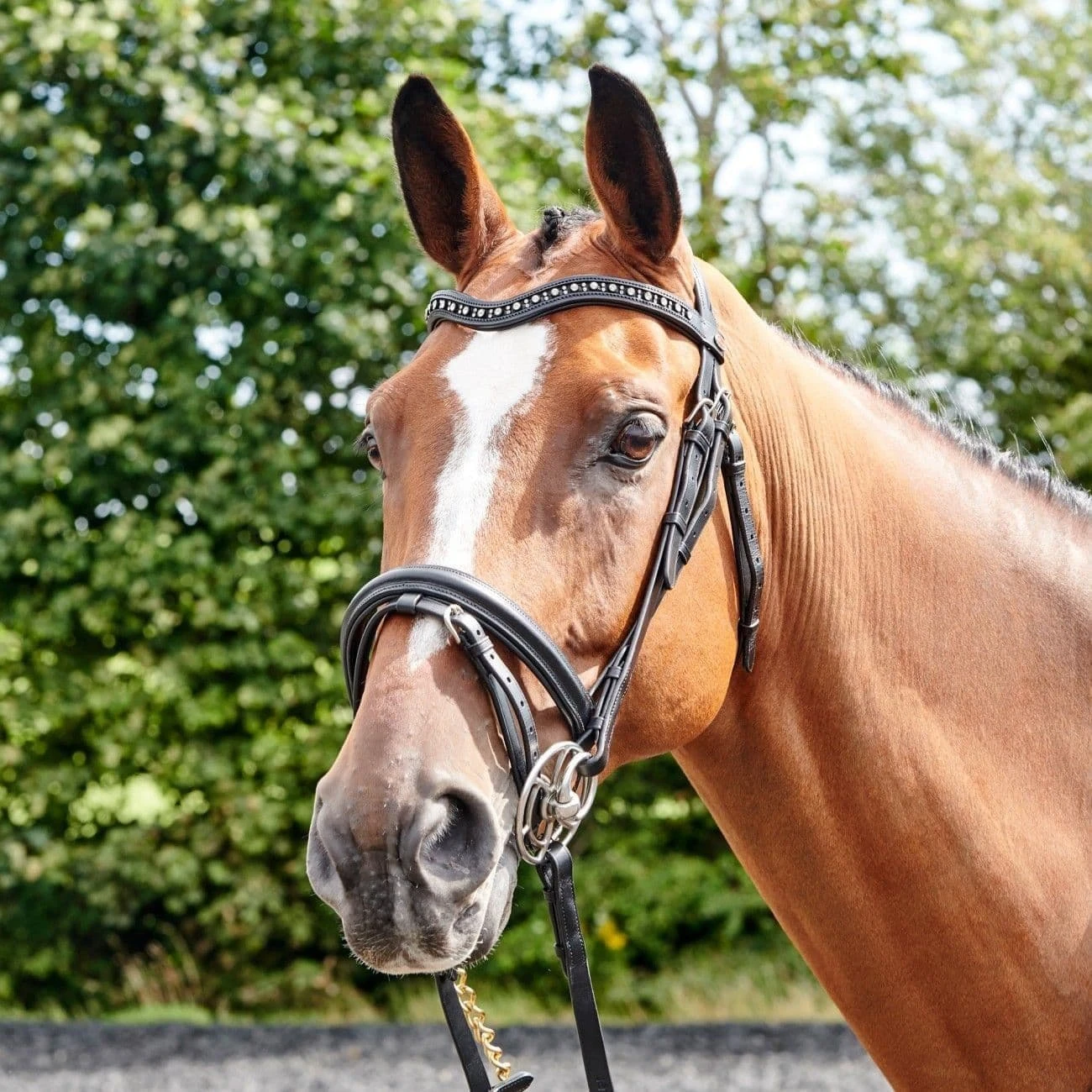 John Whitaker Lynton Flash Bridle With 2 Browbands 2 John Whitaker Lynton Flash Bridle With 2 Browbands - Image 2