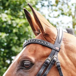 John Whitaker Lynton Flash Bridle With 2 Browbands 5 John Whitaker Lynton Flash Bridle With 2 Browbands -Sports - Equestrian Sports john whitaker lynton flash bridle with 2 browbands colour black size pony 3 42449 p