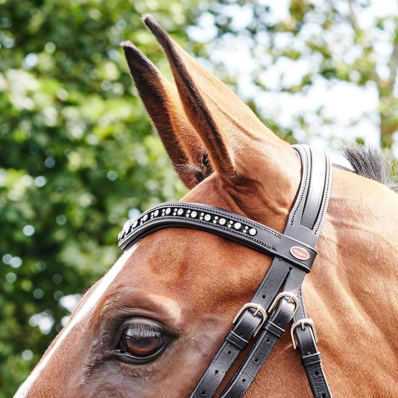 John Whitaker Lynton Flash Bridle With 2 Browbands 3 John Whitaker Lynton Flash Bridle With 2 Browbands - Image 3