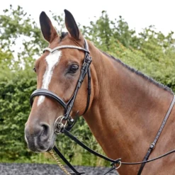 John Whitaker Lynton Snaffle Bridle With 2 Browbands