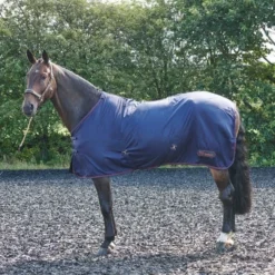 John Whitaker Rastrick Multipurpose Rug