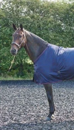 John Whitaker Rastrick Multipurpose Rug -Sports - Equestrian Sports john whitaker rastrick multipurpose rug size 4 9 110 3 10683 p