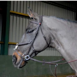 John Whitaker Ready To Ride Mexican Bridle