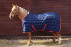 John Whitaker Thomas Stable Rug - Navy/Red
