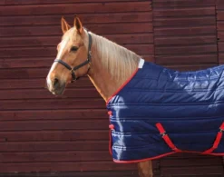 John Whitaker Thomas Stable Rug - Navy/Red -Sports - Equestrian Sports john whitaker thomas stable rug navy red 3 10565 p