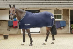 John Whitaker Thornton Show Rug - Navy/Silver