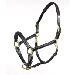 John Whitaker Valencia Luxury Leather Fancy Stitched Head Collar