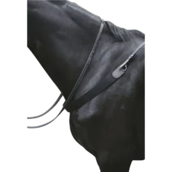 Kincade Elastic Showjumping Breastplate II