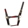 Kincade Leather Web Headcollar