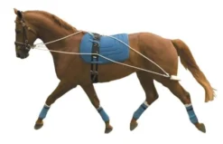 Kincade Lunging Training System