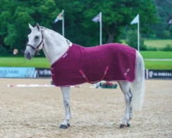 Mark Todd Coolex Cooler Navy/Red